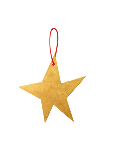 Brass Star Ornament